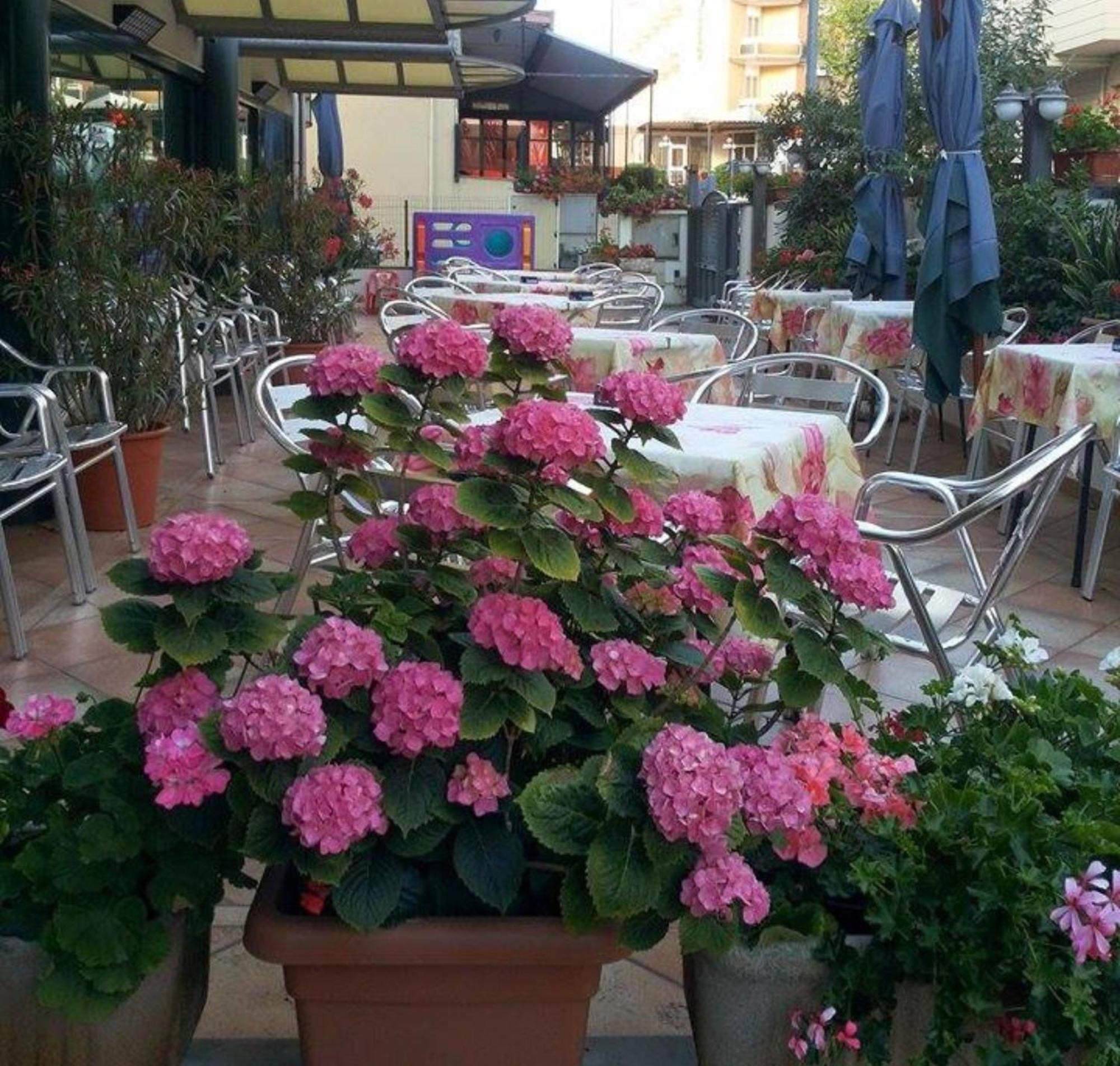 Hotel Caruso Rimini Ngoại thất bức ảnh